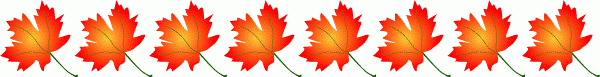 fall orange leaves