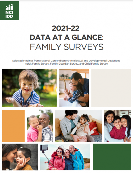 Data at a Glance Cover Page Picture